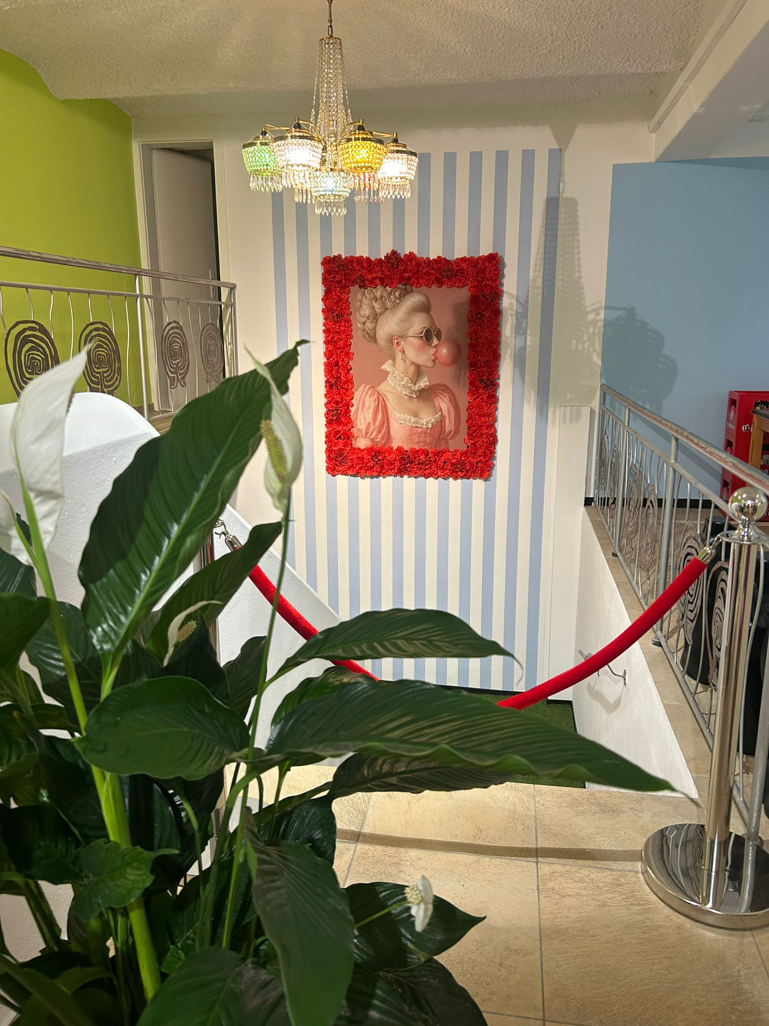 Raubirl Laden / Kollektion 1